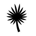Bismarckia black silhouette palm leaf. vector icon