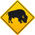 Bison Royalty Free Stock Photo