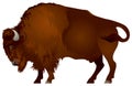 Bison Royalty Free Stock Photo