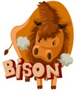 Bison