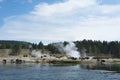 Bison buffalo herd at Yellowstone Royalty Free Stock Photo