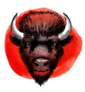 Bison bull head.