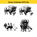 Bison with chickens and ducks in various styles, set of black and white farm animals vector illustrations for design Royalty Free Stock Photo