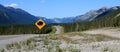 Bison crossing sign