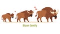 Bison family Mom, dad and calf. Flat vector illustration isolated on white background. Children`s illustrations