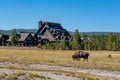 A bison grazes in front of the Old Faithful Inn