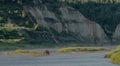 Bison Grazes On Small Island in Little Missouri River