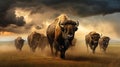 Bison herd moving through a prairie storm