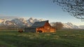 Bison and historic barn, Grand Teton National Park