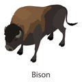 Bison icon, isometric style Royalty Free Stock Photo