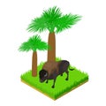 Bison icon isometric vector. Huge brown bison animal standing in green grass