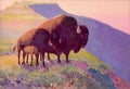 Bison illustration. Moonlit Bison in Digital Watercolor Royalty Free Stock Photo