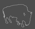 Bison line contour vector illustration isolated on black background.