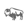 Bison Logo Design Vector. Bison logo Template