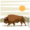 Bison Royalty Free Stock Photo