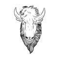 Bison Mascot Head
