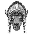 Bison, ox, buffalo. Zoo. Wild animal wearing inidan headdress with feathers. Boho chic style illustration for tattoo