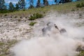 Bison rolling around in dirt, kicking up dust near the Mud Volcano area of Yellowstone National Park. Focus on the hoof