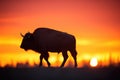 bison silhouette against a fiery sunset backdrop Royalty Free Stock Photo