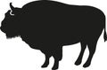 Bison silhouette