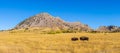 Bison Standing Below Bear Butte