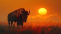 Bison standing on hill at sunset. Generative AI Royalty Free Stock Photo
