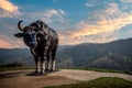 Bison statue at a hilltop overlooking the sunset at the Khao Pang Ma national park in Thailand