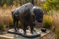 Bison Statue With Mask