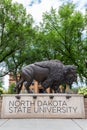 Bison Statue at North Dakota State University