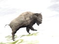 Bison in winter storm - 3D render Royalty Free Stock Photo