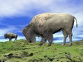 Bisons and grassland - 3D render Royalty Free Stock Photo