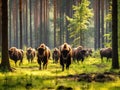 Ai Generated illustration Wildlife Concept of Bisons