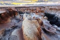 Bisti badlands