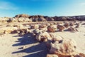 Bisti badlands