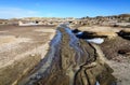 Bisti Badlands