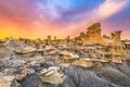 Bisti/De-Na-Zin Wilderness, New Mexico, USA