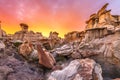 Bisti/De-Na-Zin Wilderness, New Mexico, USA