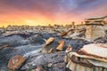 Bisti/De-Na-Zin Wilderness, New Mexico, USA