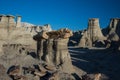 Bisti/De-Na-Zin Wilderness