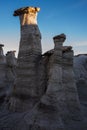 Bisti/De-Na-Zin Wilderness