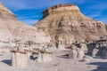 Bisti/De-Na-Zin Wilderness