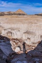 Bisti/De-Na-Zin Wilderness