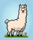 8-bit Pixel of llama. Animal pixels in vector