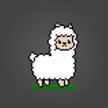 8-bit Pixel of llama. Animal pixels in vector