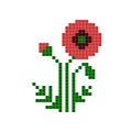 8 bit pixel mosaic floral poppy. Vector flowers.