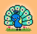 8 bit Pixel peacock bird in vector