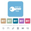 2048 bit rsa encryption flat icons on color rounded square backgrounds