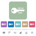 256 bit rsa encryption flat icons on color rounded square backgrounds Royalty Free Stock Photo