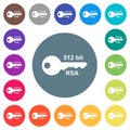 512 bit rsa encryption flat white icons on round color backgrounds