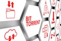 BIT TORRENT concept